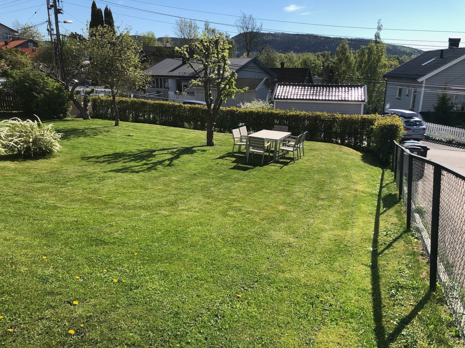 Sommerbilde felleshage Galleribilde