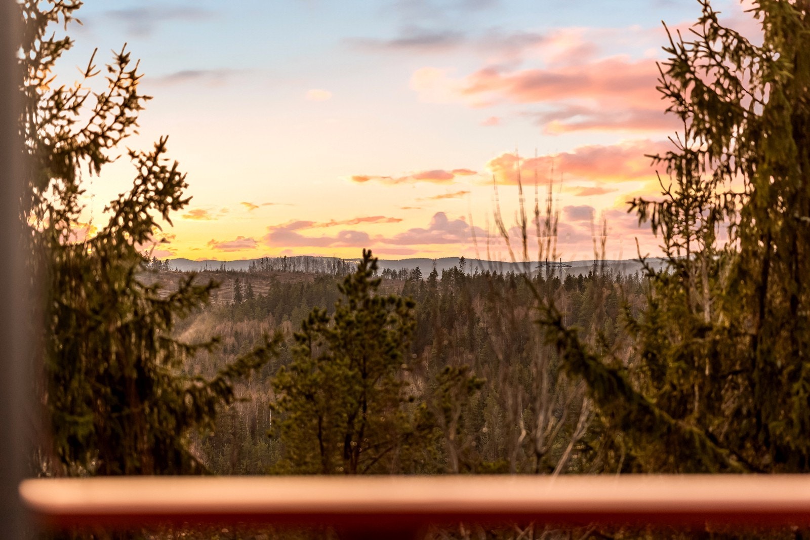 Utsikten strekker seg over et grønt landskap. Galleribilde