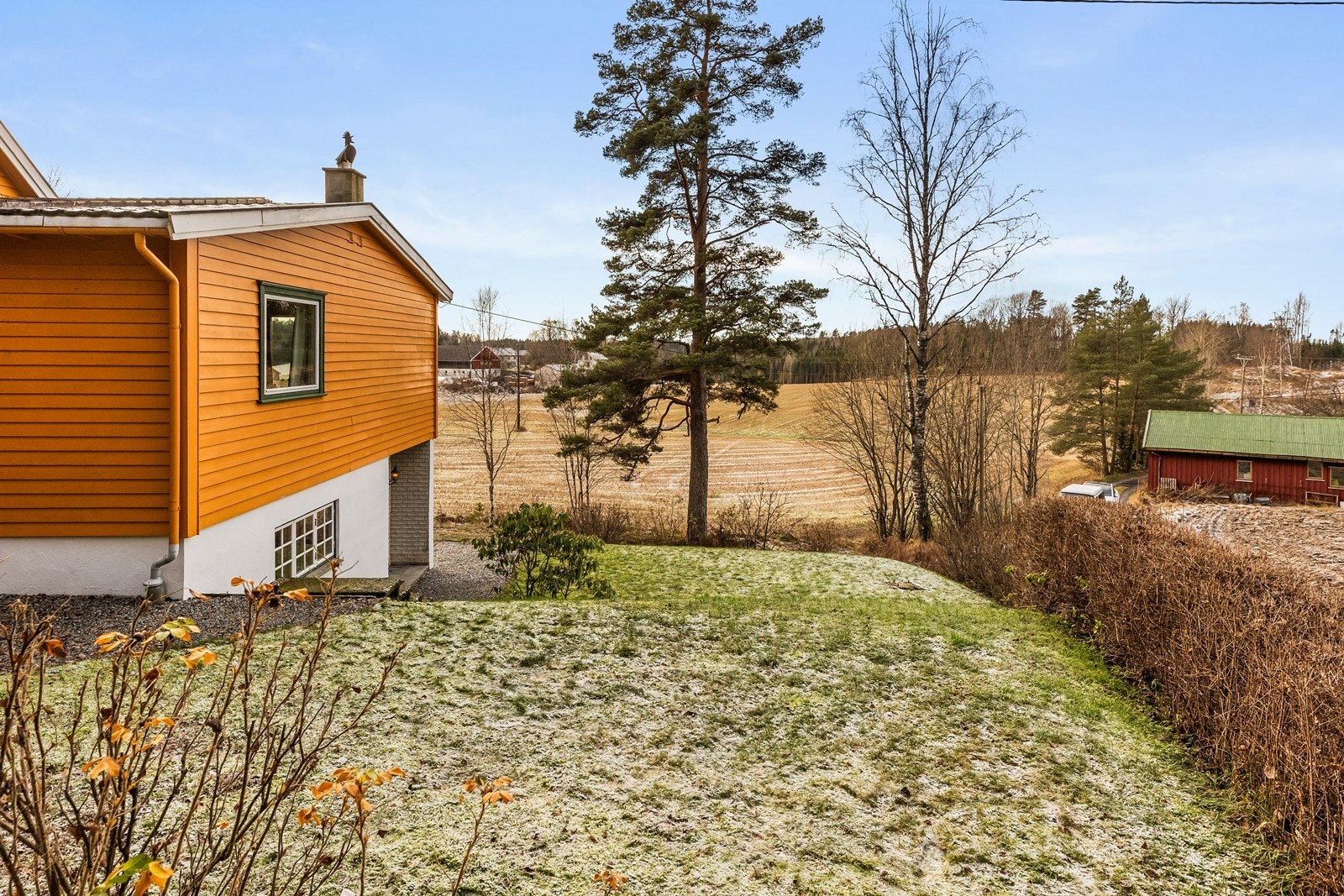 Pent opparbeidet hage med plen og beplantning. Galleribilde