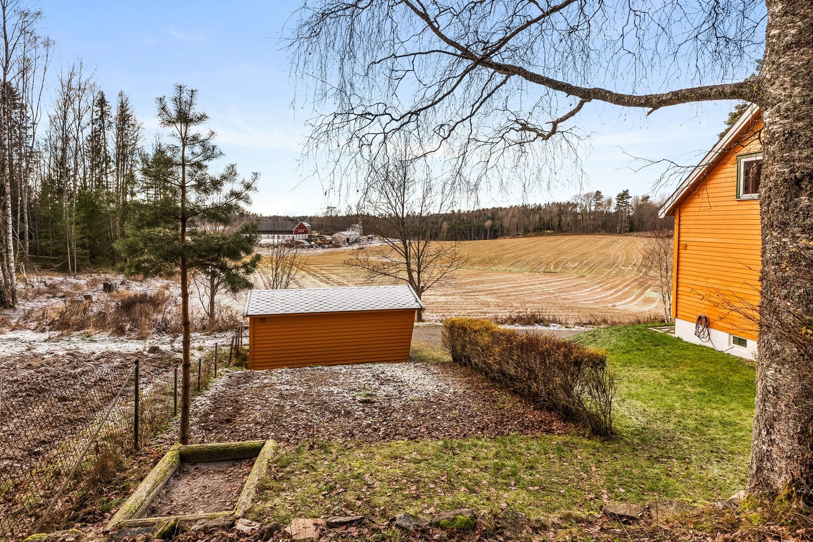 Uteområde med plen, hekk og naturtomt. Galleribilde