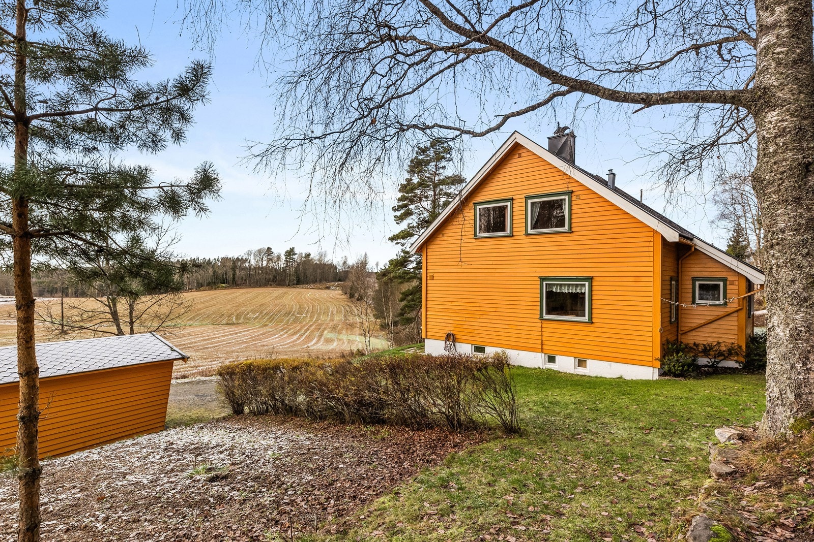 Uteområdet. Galleribilde