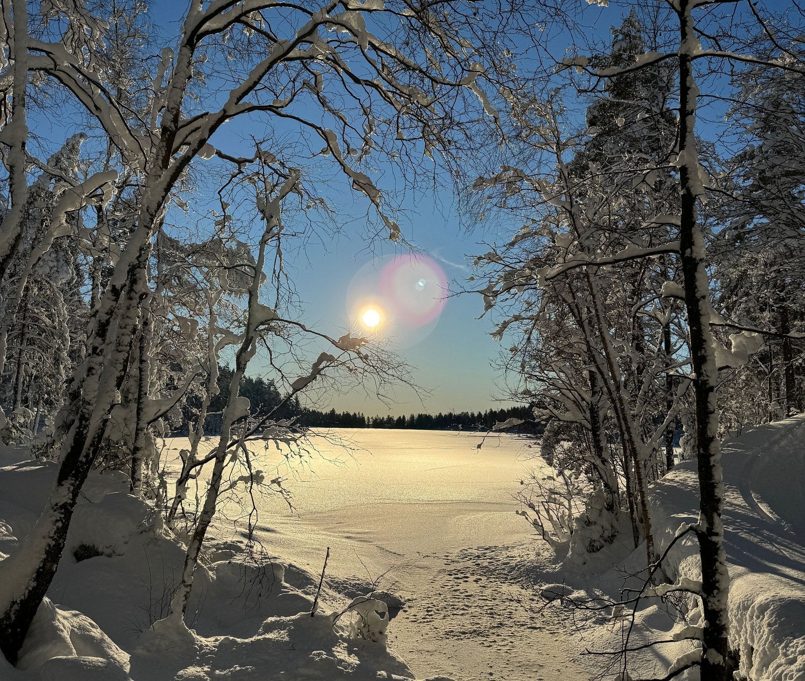 Lillomarka tilbyr også fine skiløyper om vinteren. Galleribilde