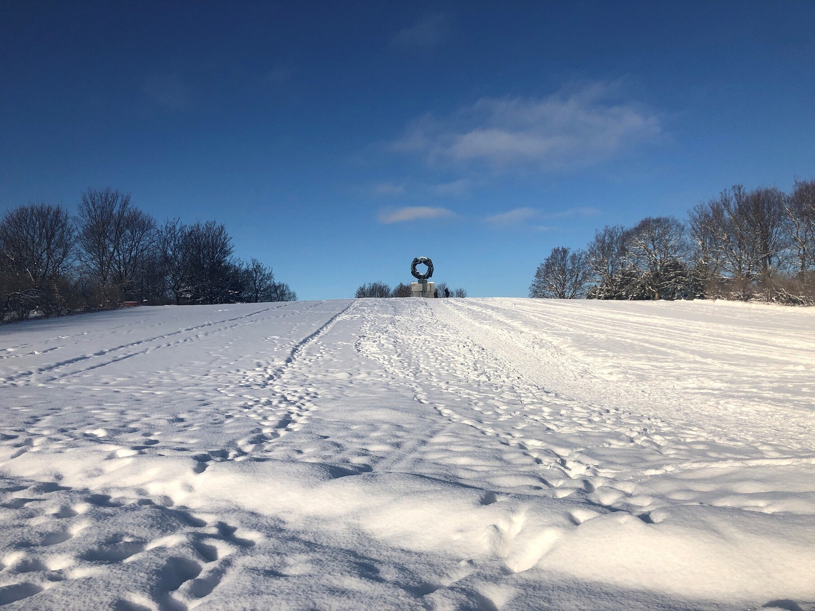 Idylliske Frognerparken på vinterstid. Galleribilde