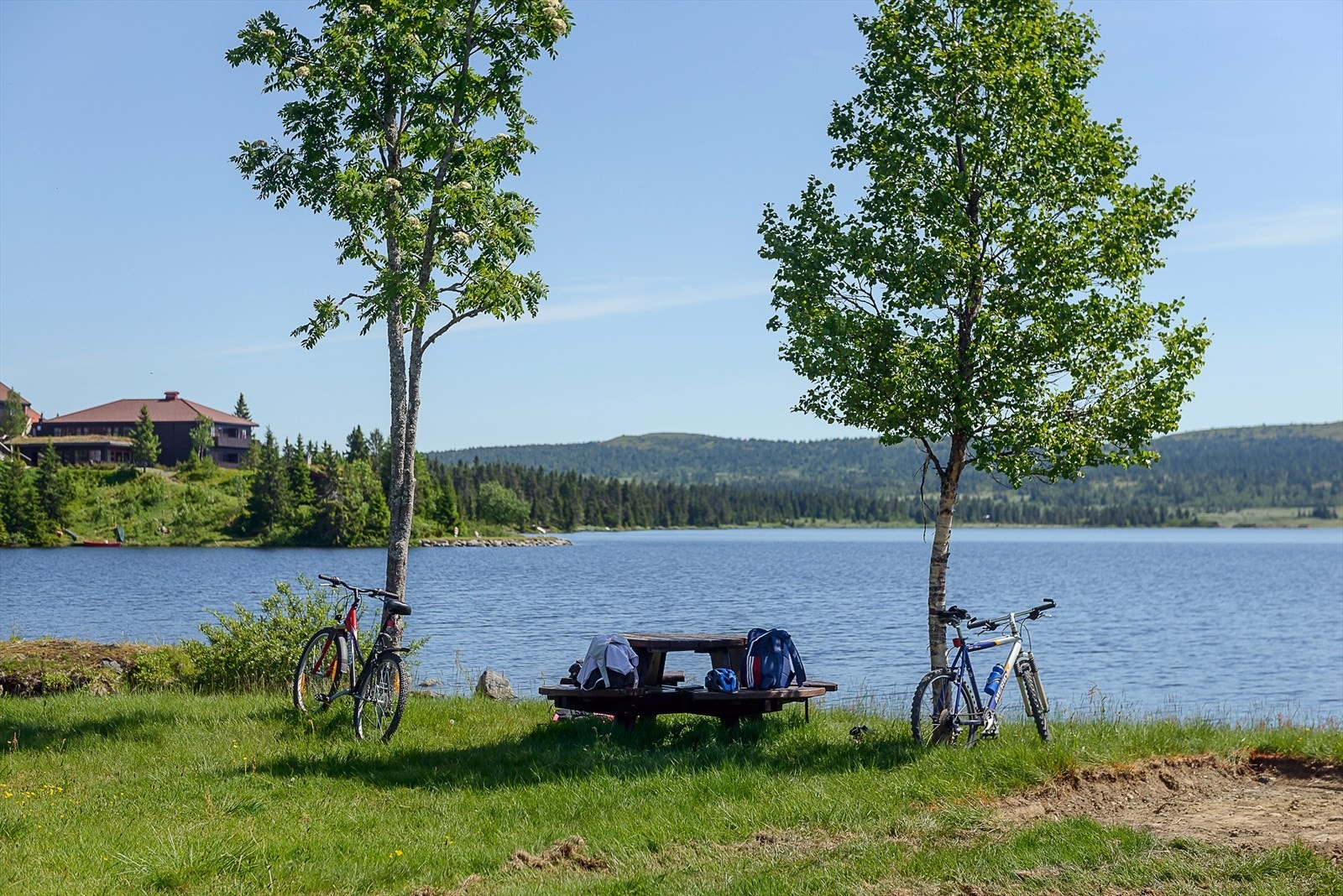 Du er tett på flotte omgivelser å bevege det i både sommer og vinter. Her et bilde fra Sjusjøvannet ikke å langt unna Rustad Fjellstue. Galleribilde