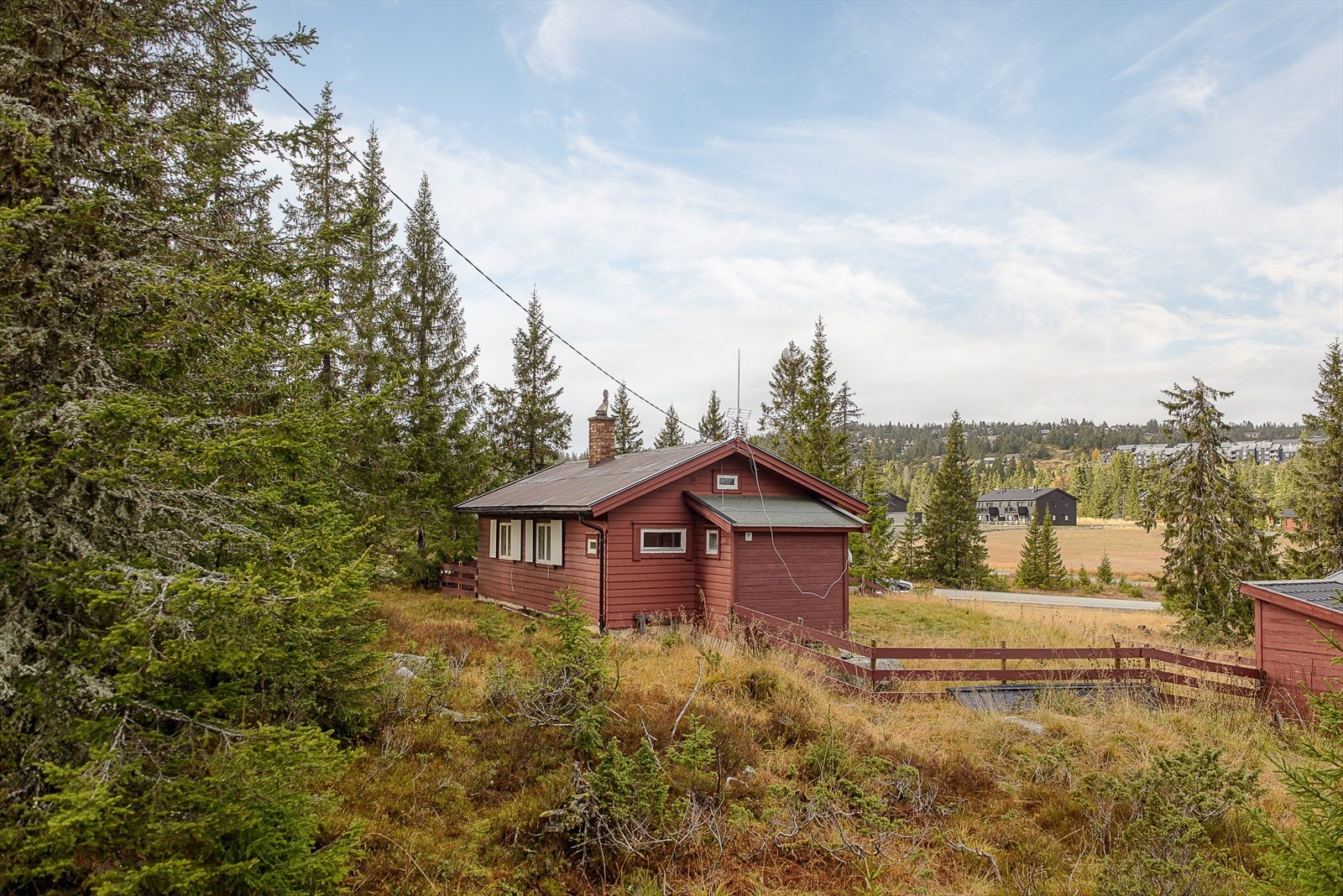 Tett på veien og lett adkomst hele året. Galleribilde
