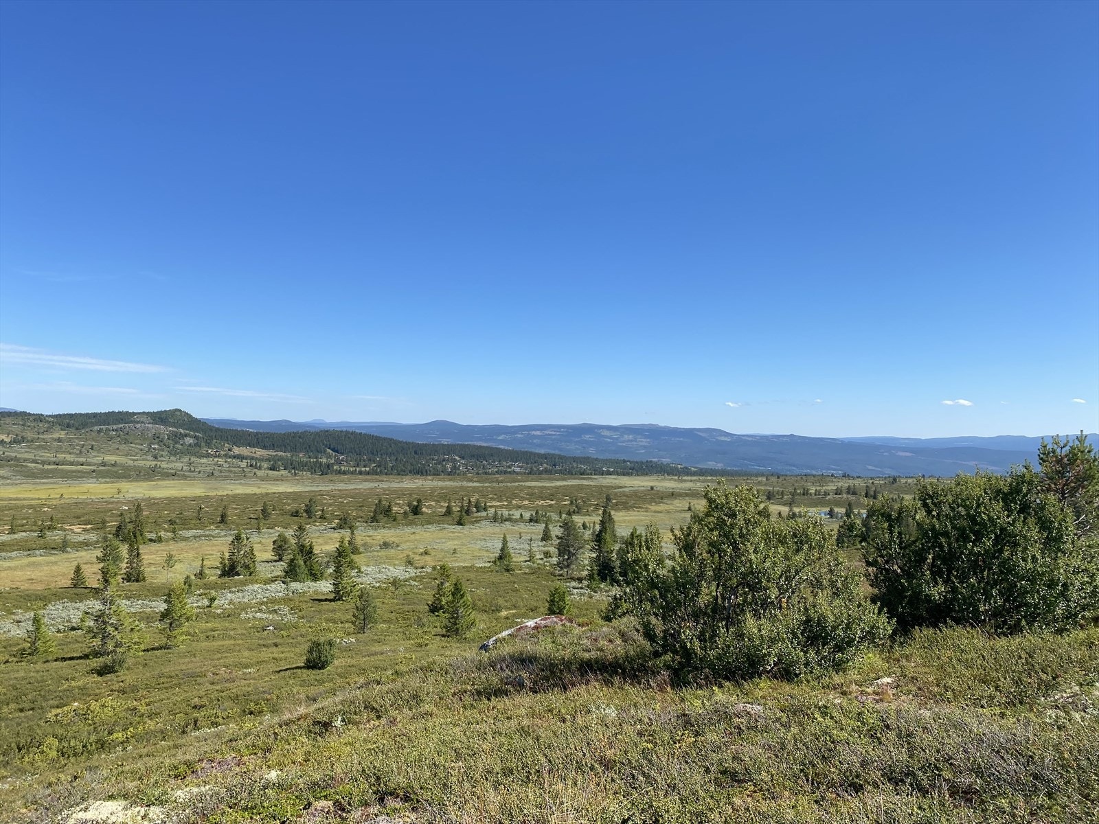 Bilde tatt av selger i fra turområdet rundt hytta Galleribilde