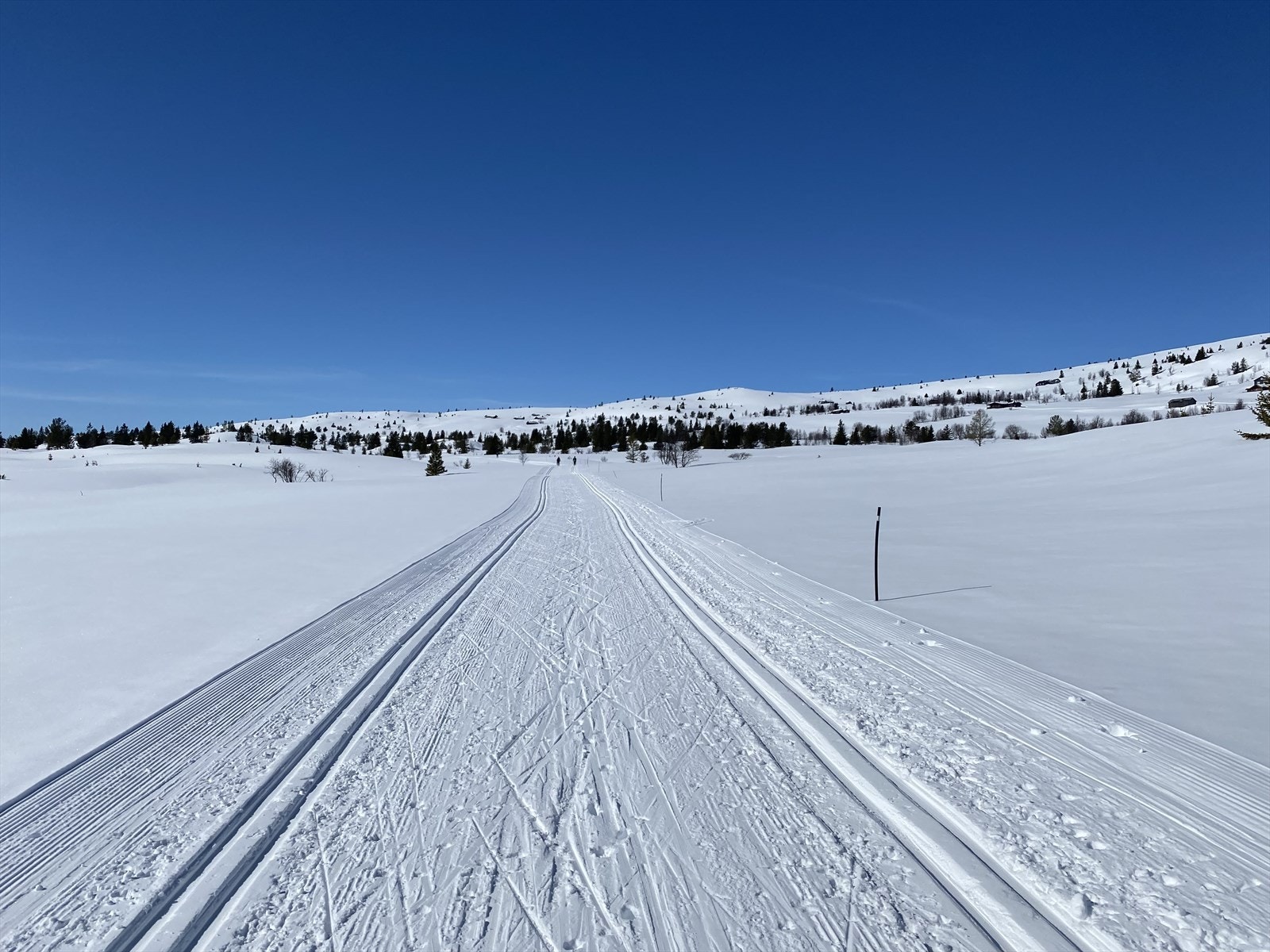 Nydelige skiløyper Galleribilde