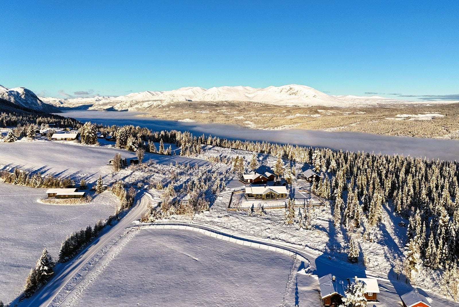 Fantastisk område Galleribilde