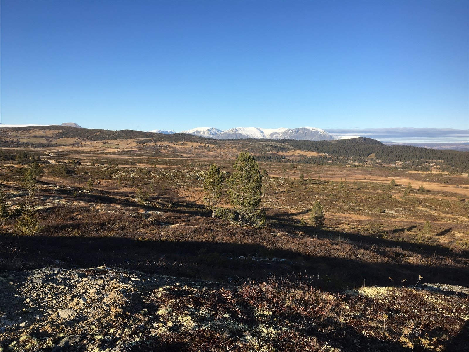 Høst stemning på fjellet Galleribilde