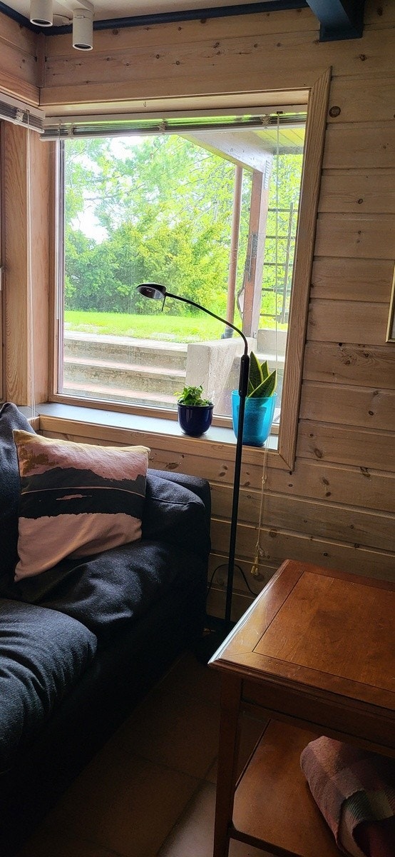 Hagen rett utenfor Galleribilde