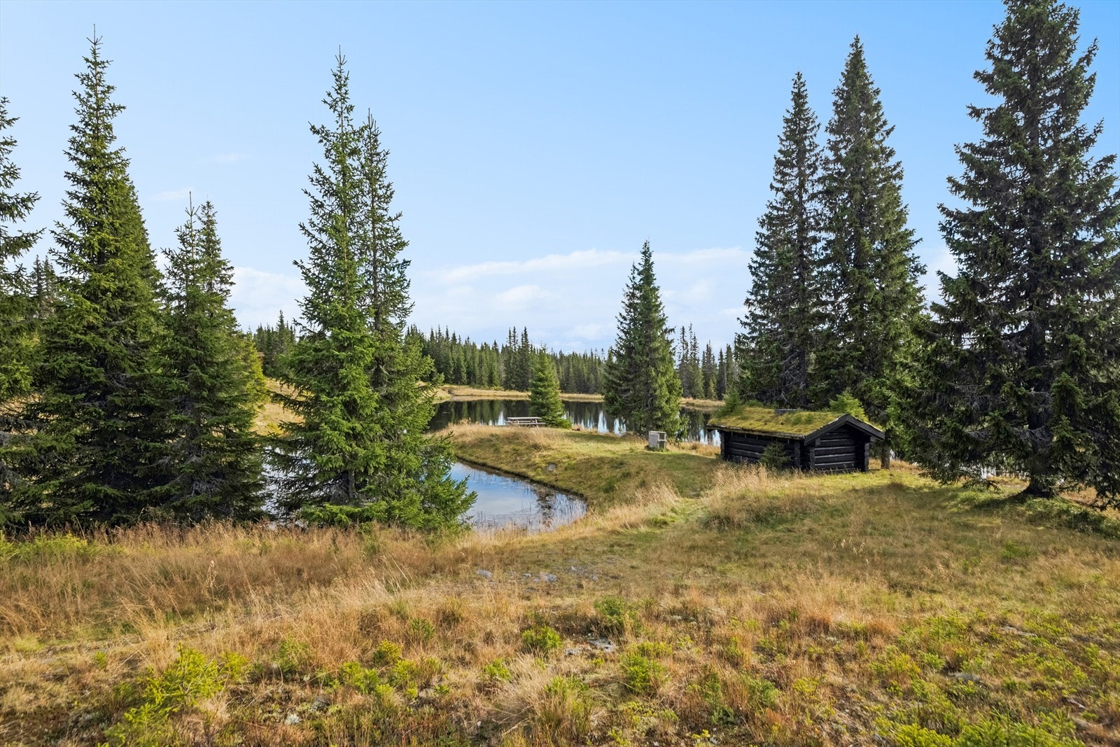 Rett nedenfor hytta finner du et koselig, lite tjern med sittebenk og grill. Galleribilde