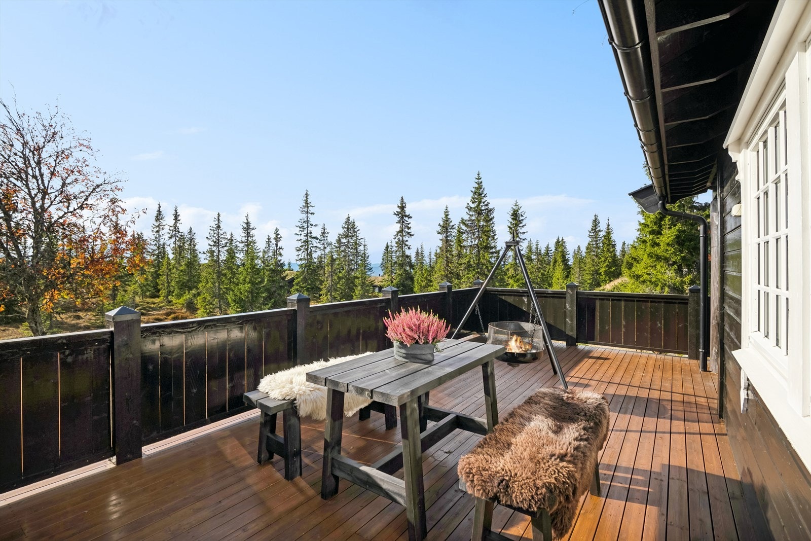 Eiendommen omkranses av vakker natur, med fantastiske skiløyper like ved. Galleribilde