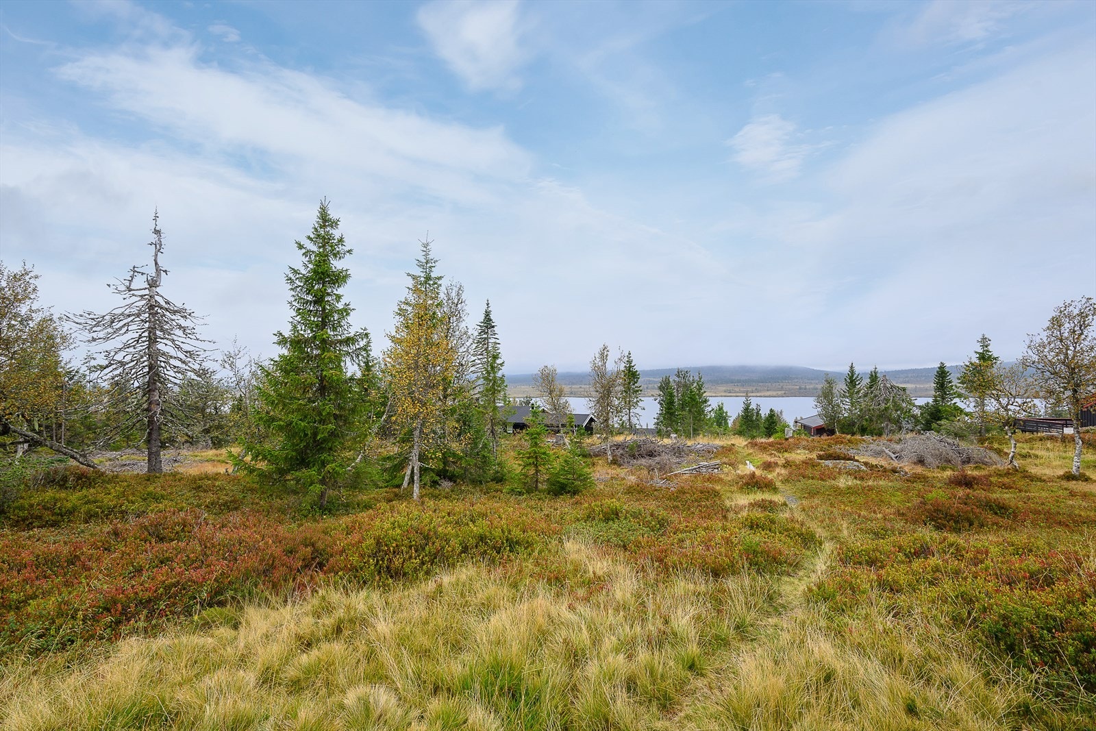 Fin utsikt mot Grunnåsen. Hytta har egen biloppstillingsplass, like i nærheten med gangsti opp. Galleribilde