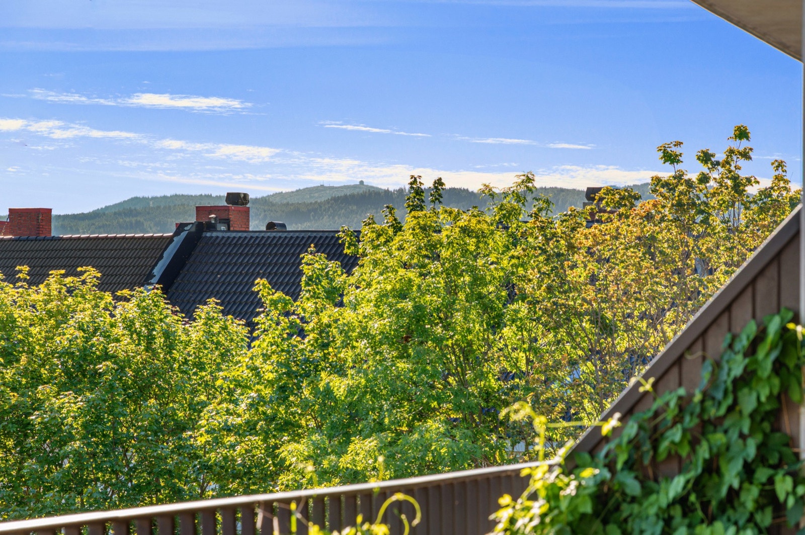 Utsikt til Bymarka og Gråkallen Galleribilde