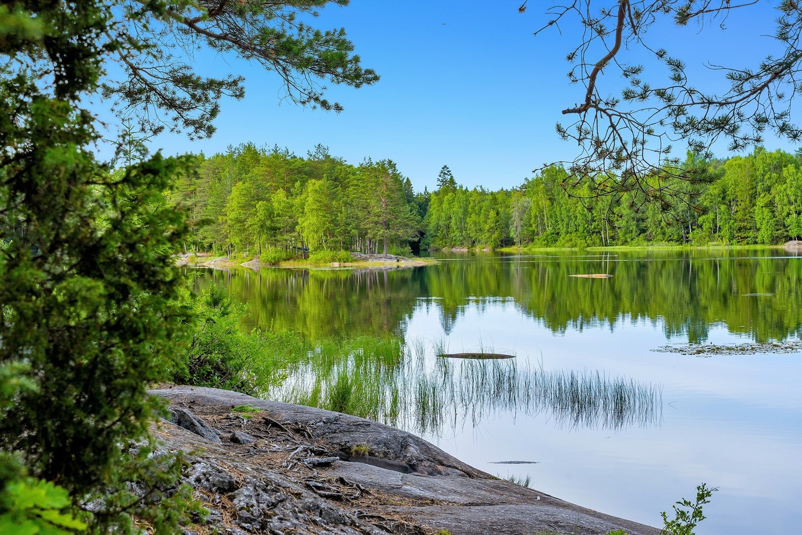 Nærhet til skog og mark gir gode tur- og rekreasjonsmuligheter. Galleribilde
