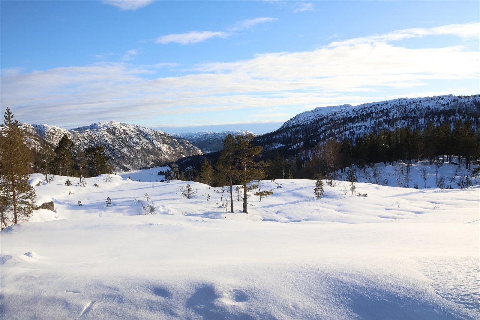 Uhindret utsikt fra stuen. Galleribilde