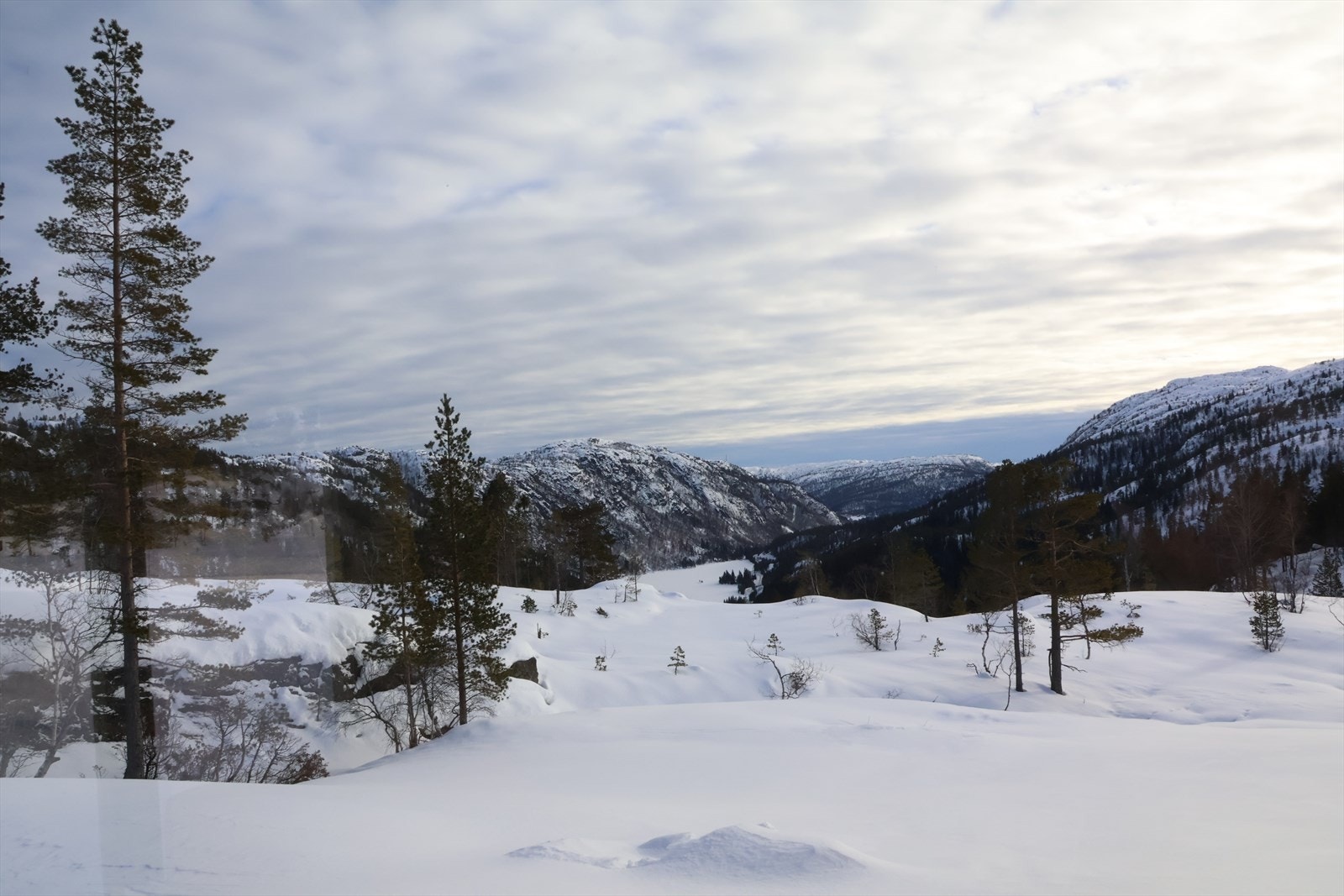 Utsikt fra stuevinduene. Galleribilde