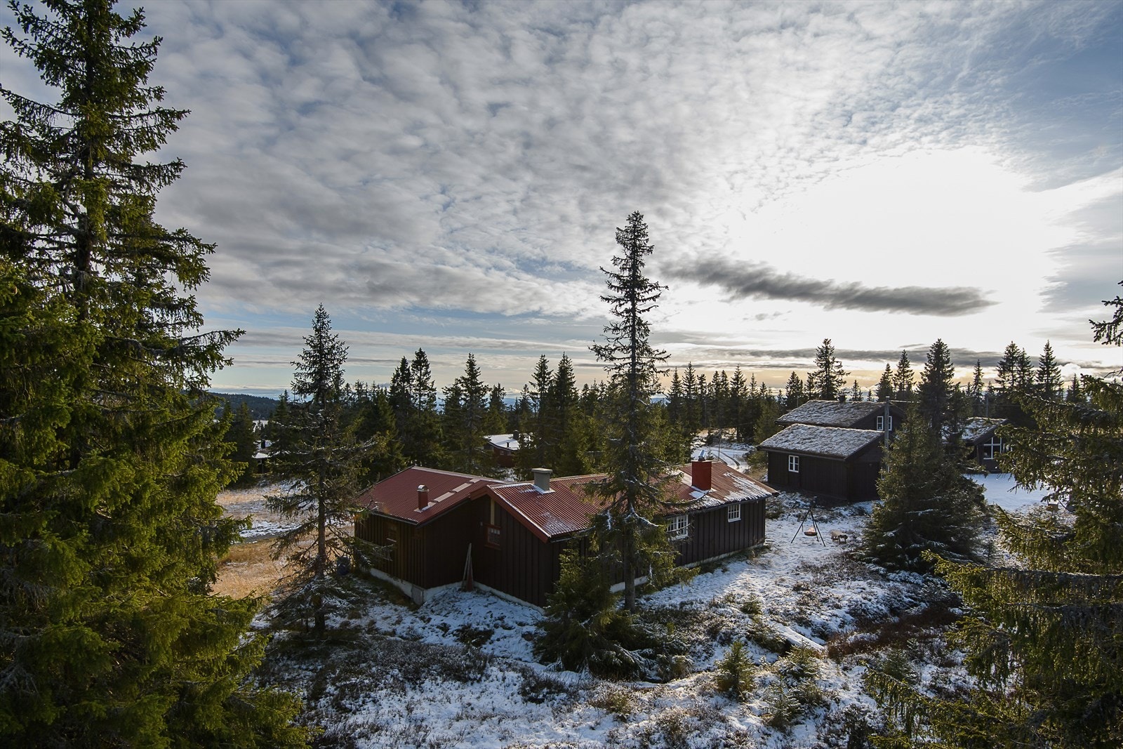 Lunt, flatt og fint terreng rundt hytta. Galleribilde