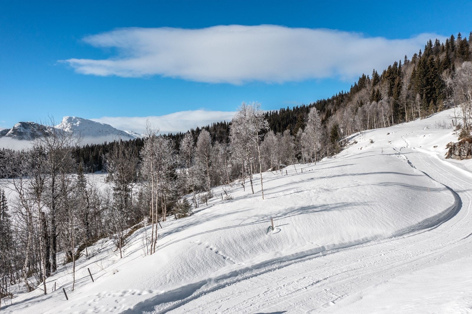 Hytteveien opp til tomtene. Galleribilde