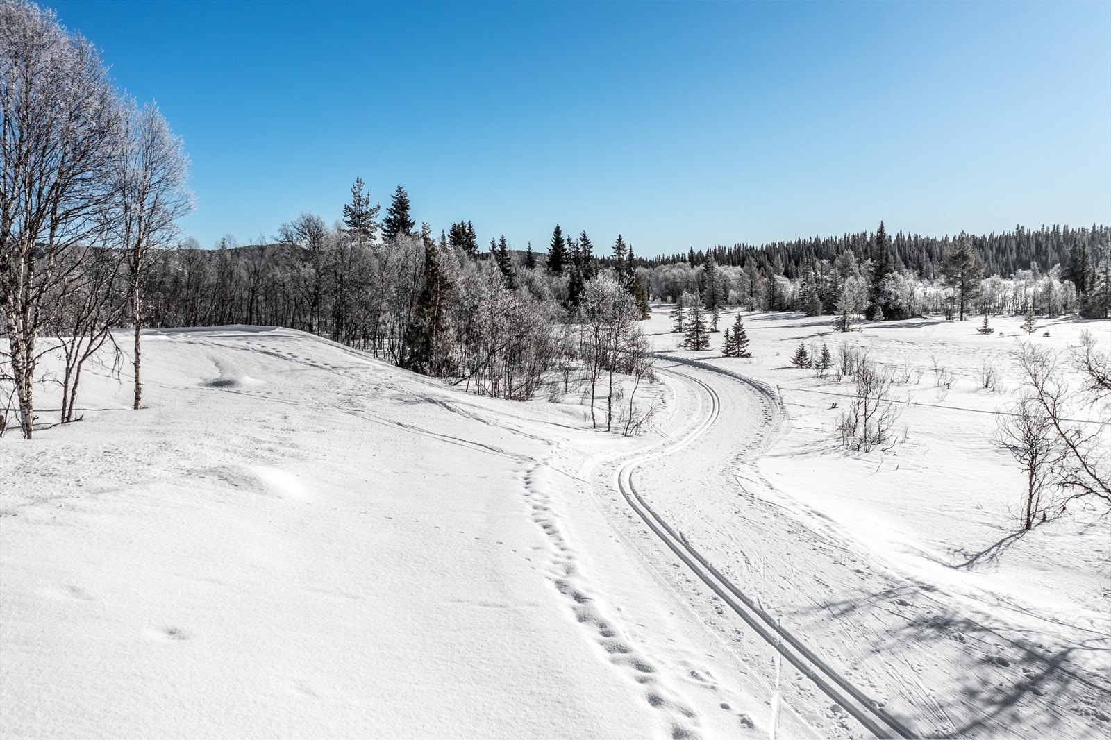 Like på nedsiden av tomtene har man tilgang til langrennsløyper i eventyrlig terreng. Galleribilde