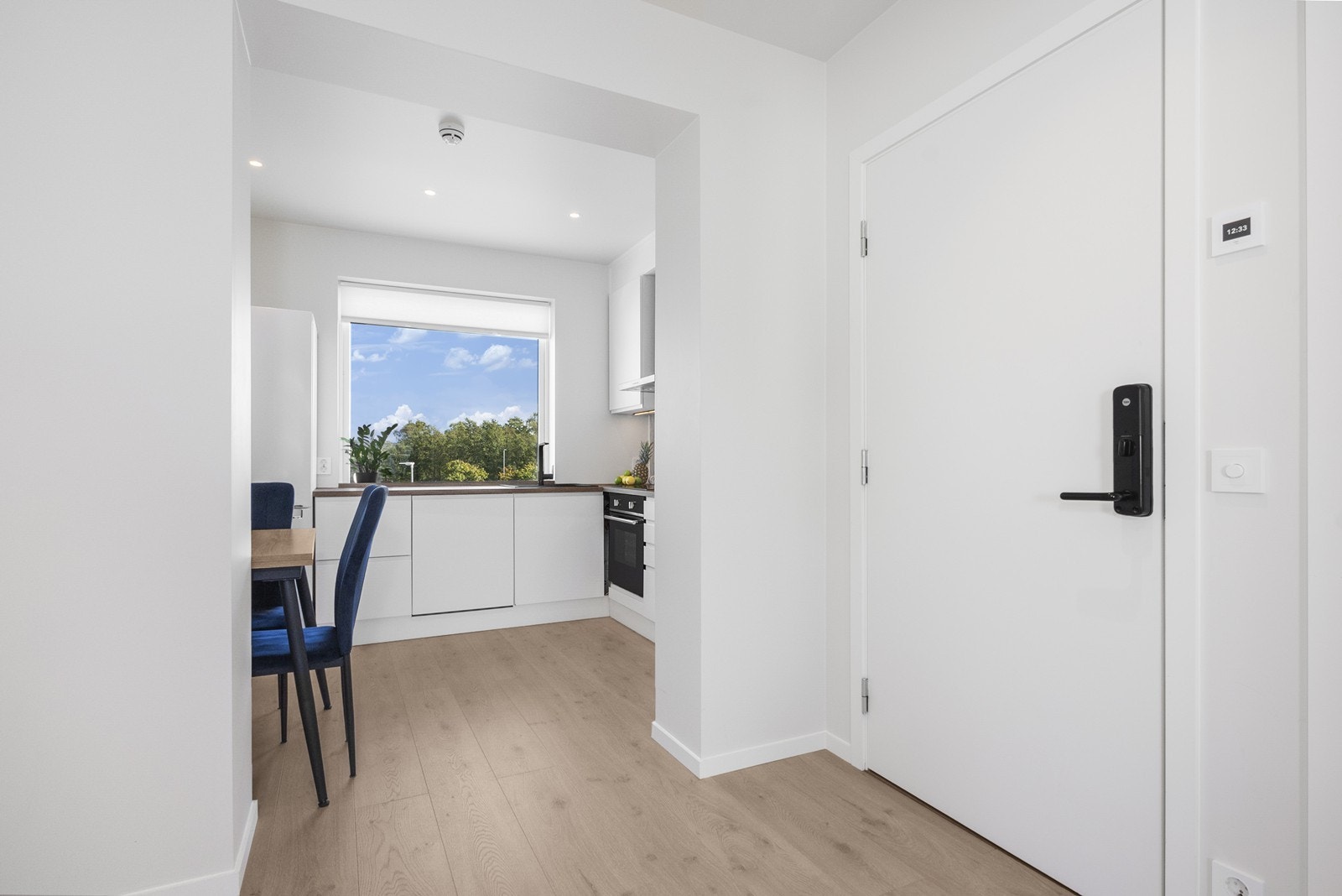 Fra entréen har man adkomst til alle leilighetens rom. Galleribilde