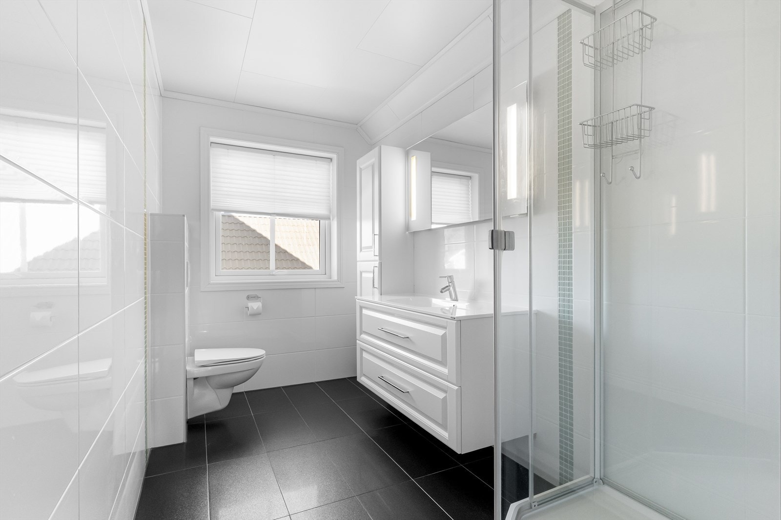 Vegghengt toalett. Galleribilde