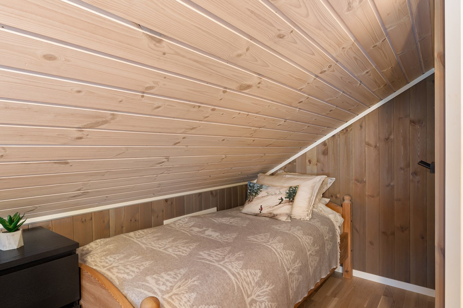 DSC05862 Galleribilde