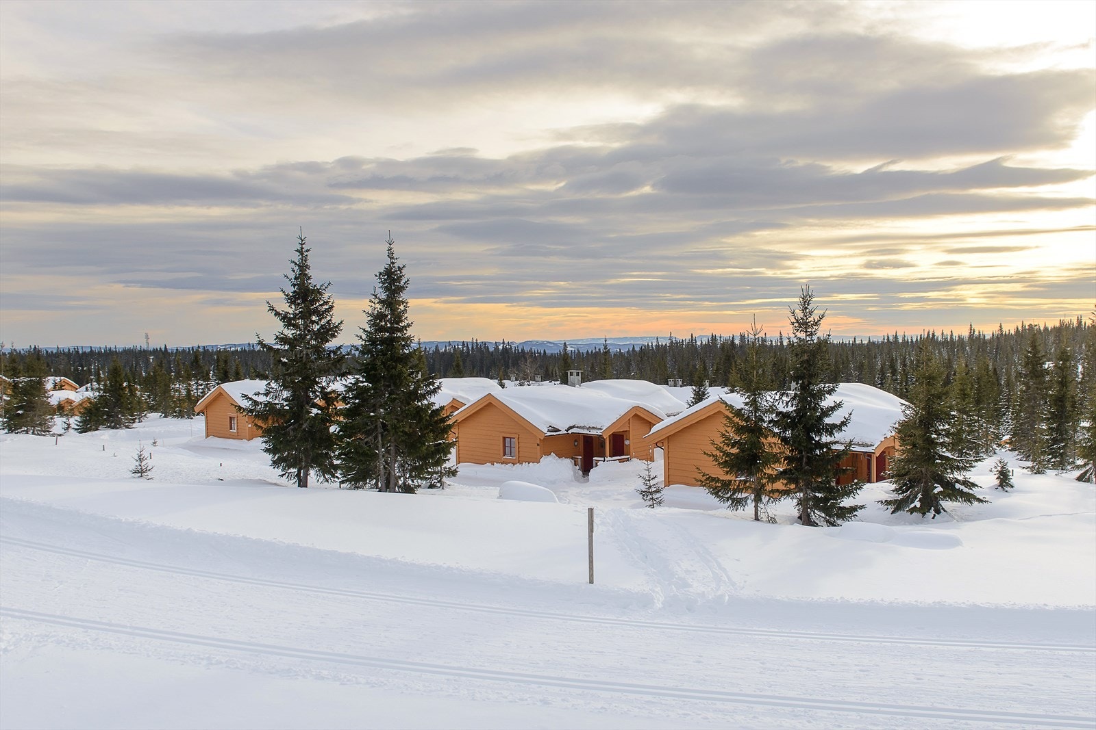 I Natrudstilen har du tilgang til Sjusjøens fantastiske løypenett og milevis med topp preparerte skiløyper. Galleribilde