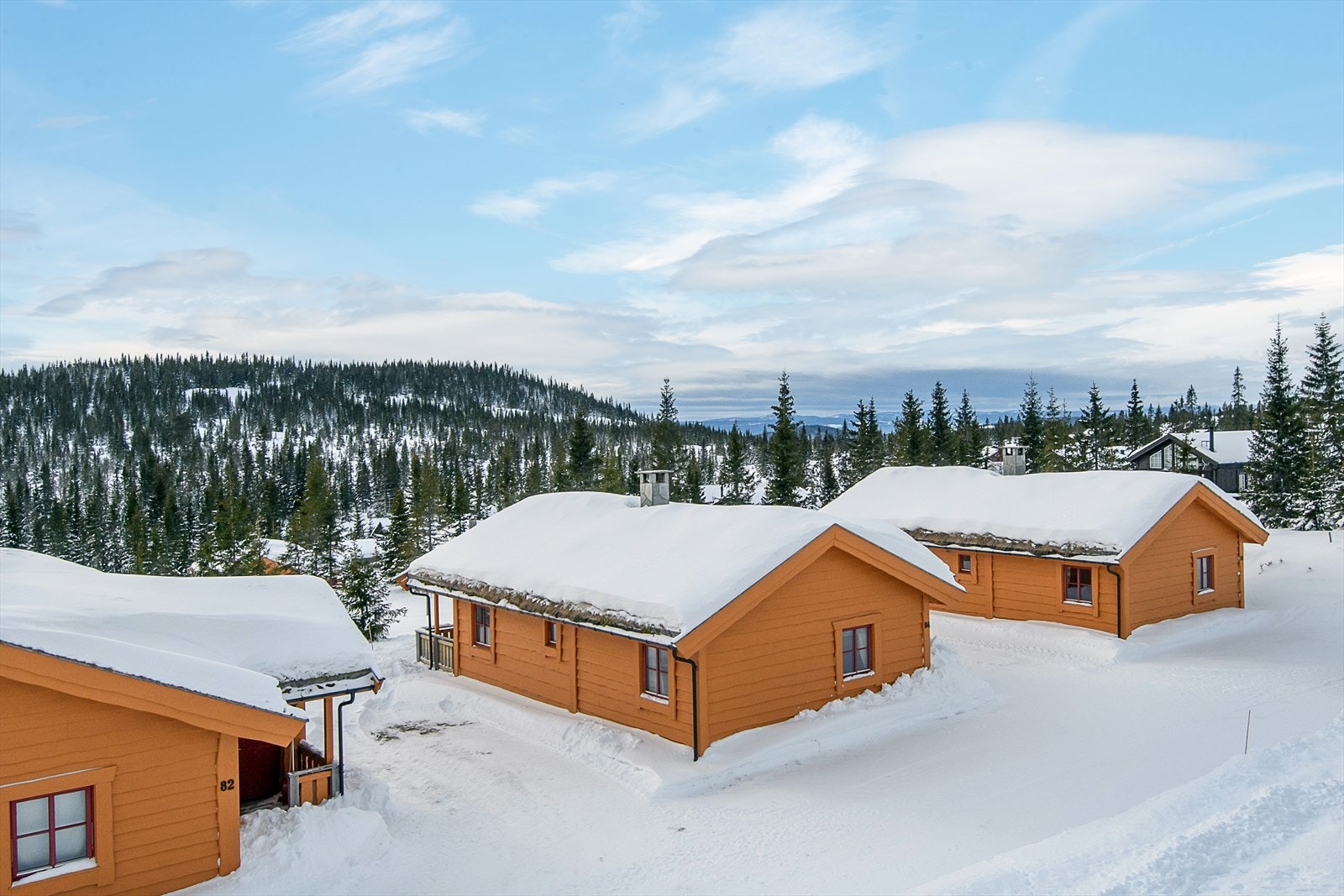 Dette er et utrolig flott familiested med umiddelbar tilgang til langrennsløyper og kort vei til skisenter, rulleskianlegg, lysløype, servering m.m. Galleribilde