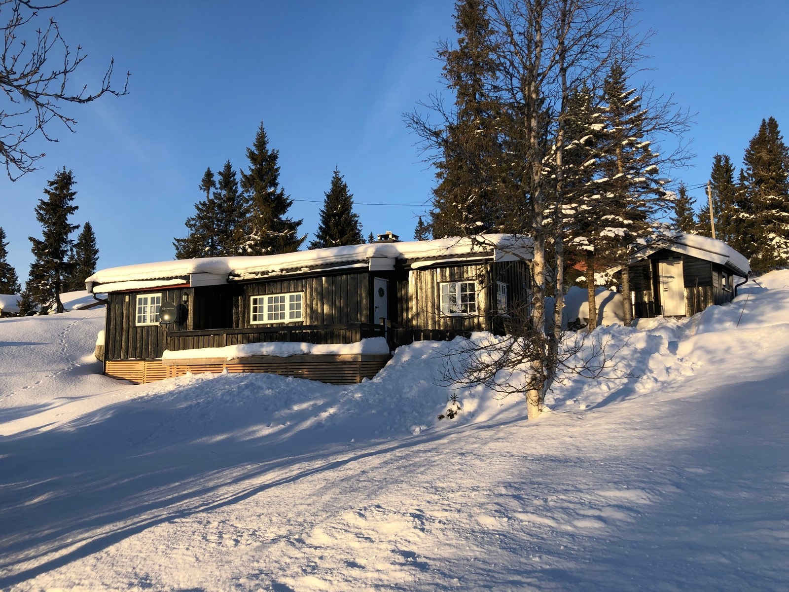 Vinterbilder fra selger. Galleribilde