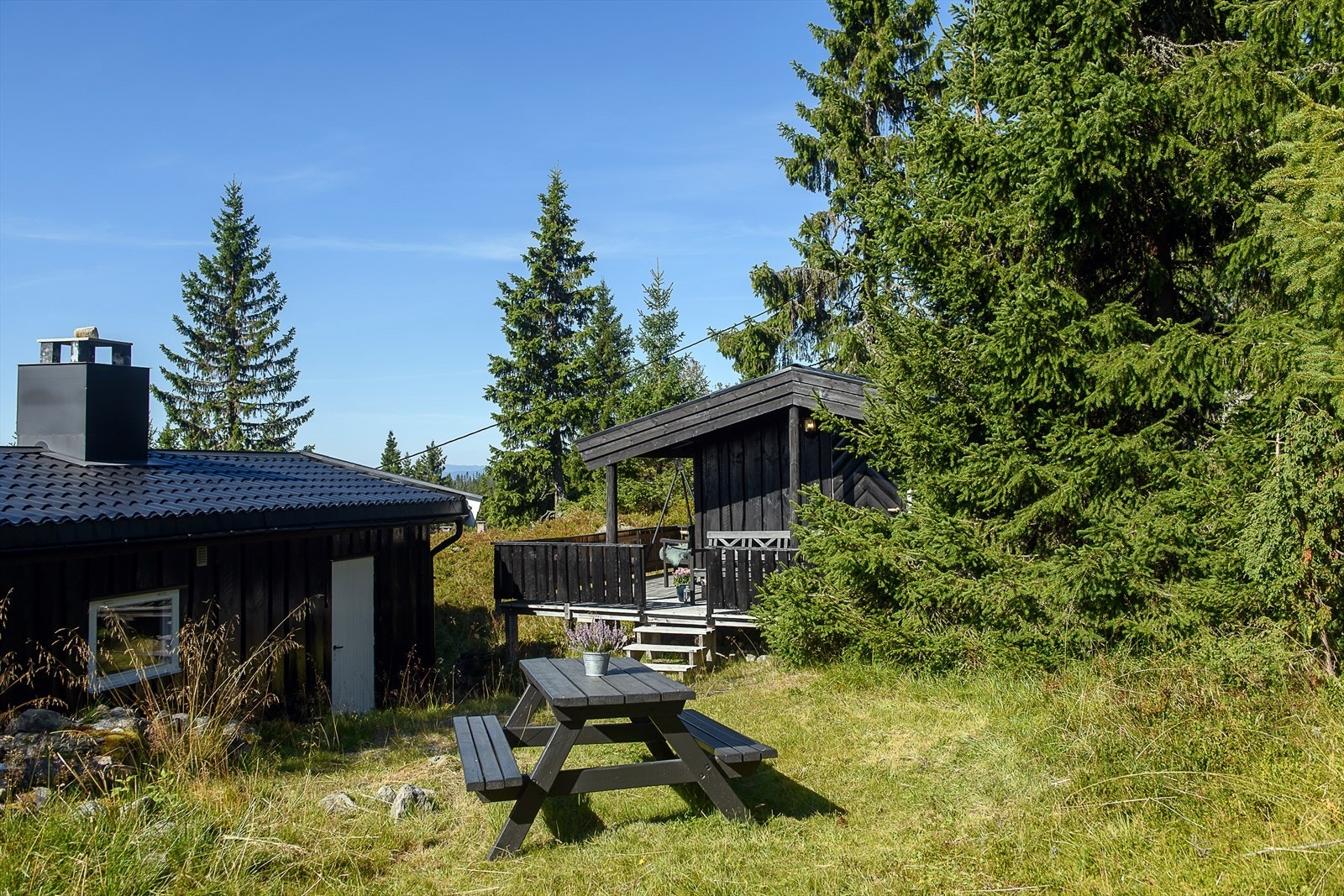 Lun og fin uteplass på baksiden av hytta. Galleribilde