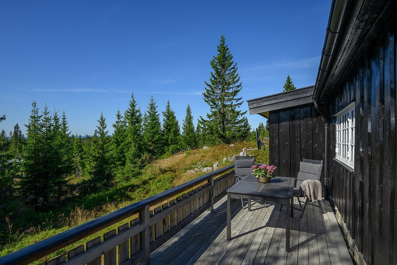 Et hyggelig sted å slappe av i solveggen. Galleribilde