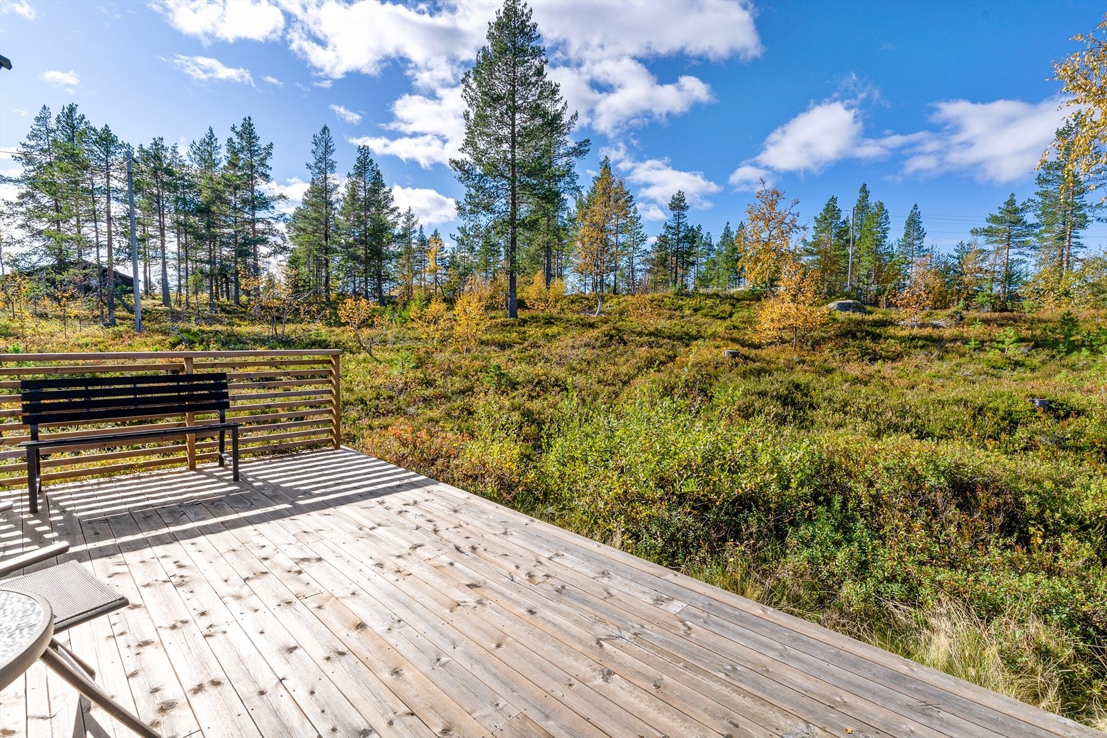 Uteområdet gir god plass til å trekke ut i frisk luft og nyte naturen rett utenfor hytta. Galleribilde