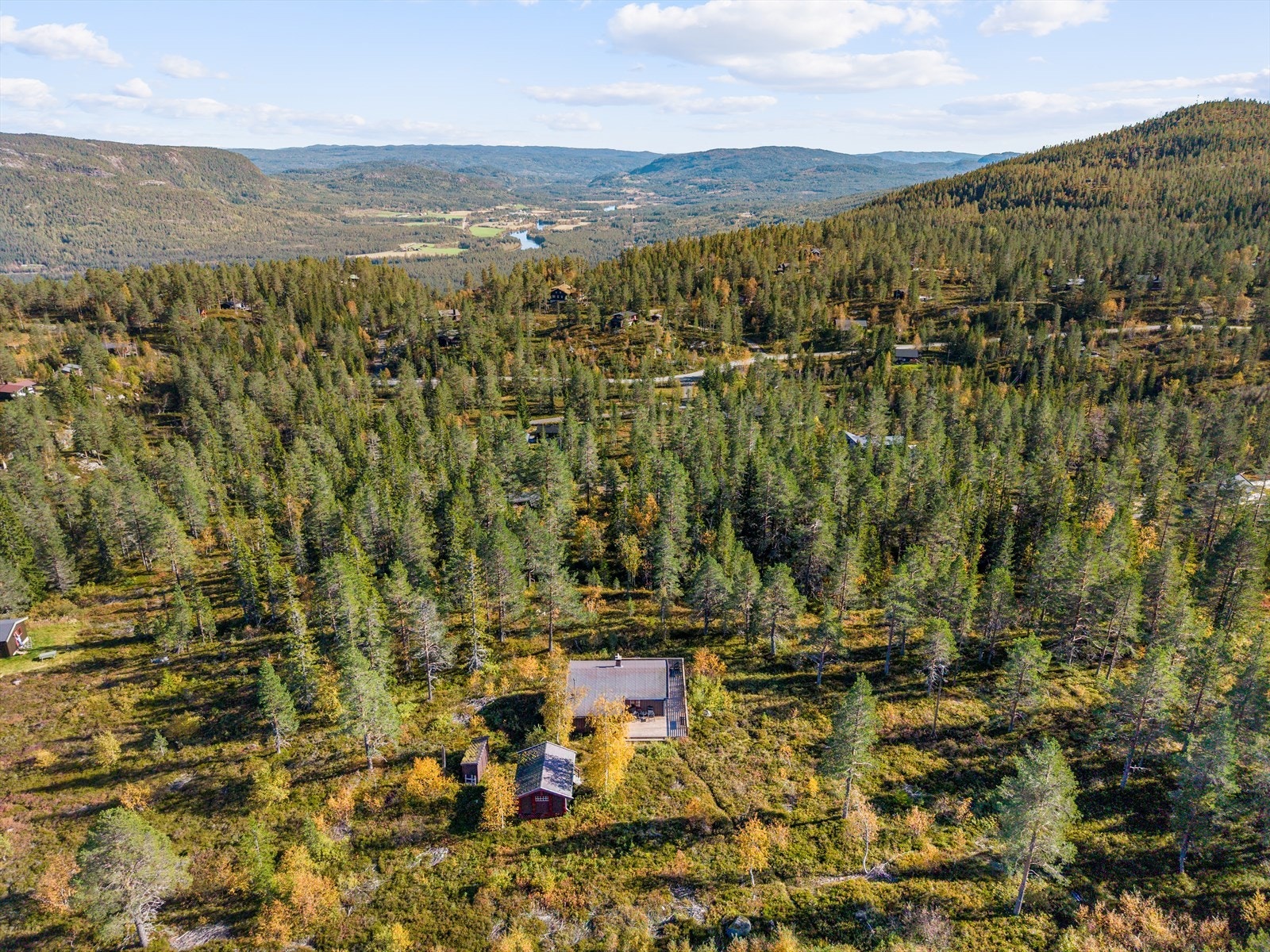 Hytta omkranses av vakker skog og åser - perfekt ramme for friluftsliv og rekreasjon. Galleribilde
