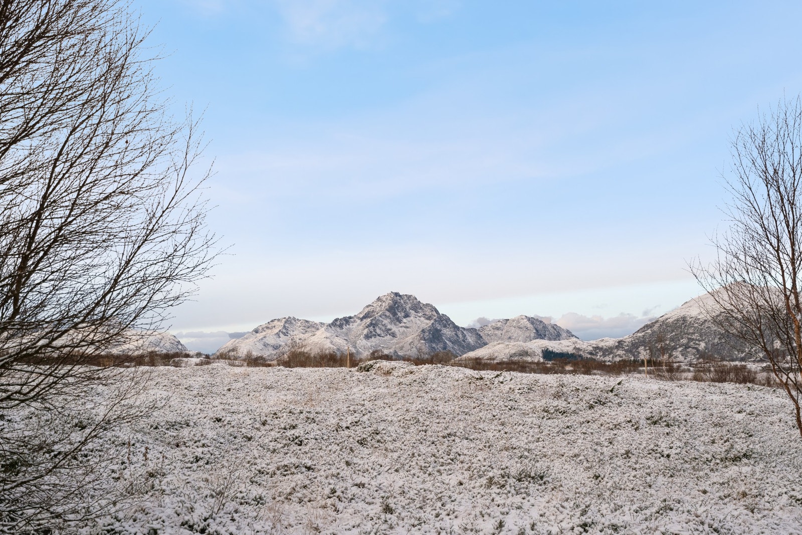 Velkommen på en hyggelig visning! Galleribilde