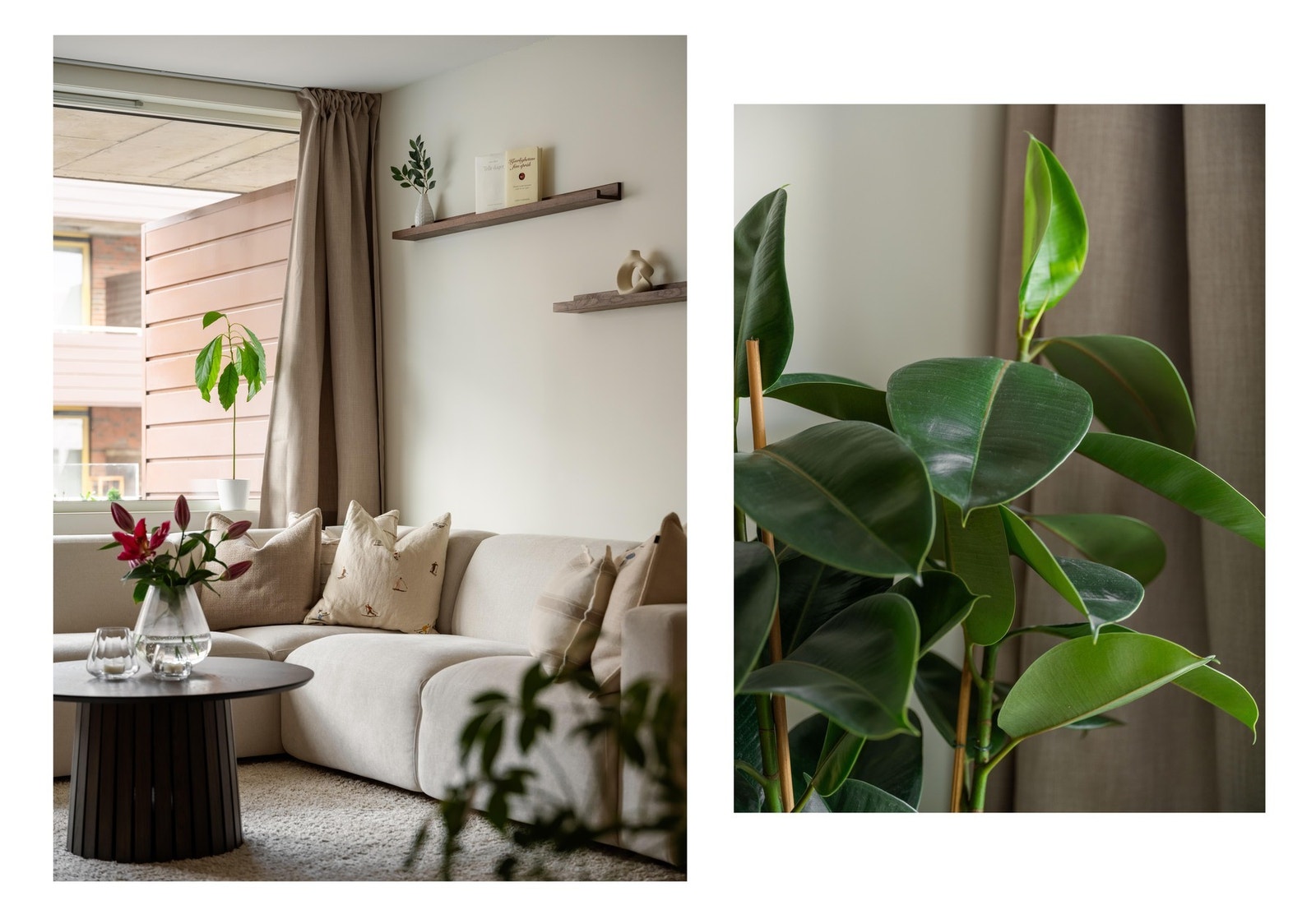 Sees vi? Galleribilde