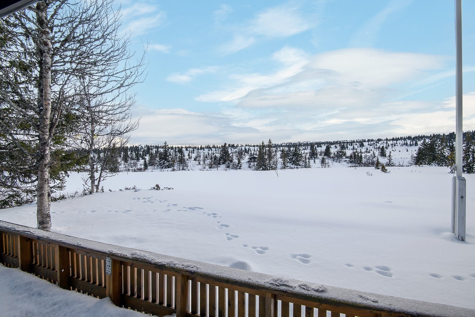 Flott skue fra terrassen. En lun og fin plass, med overbygg der du sitter skjermet for innsyn og kan nyte sola. Galleribilde