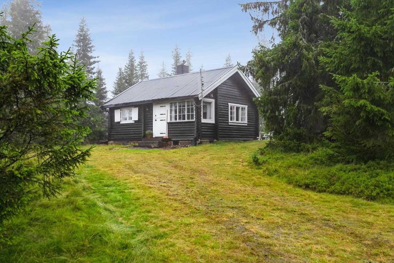 Velkommen til Lauvlia 15 Foto: EFKT ( Ola Hvattum / Kristian Haug) Galleribilde