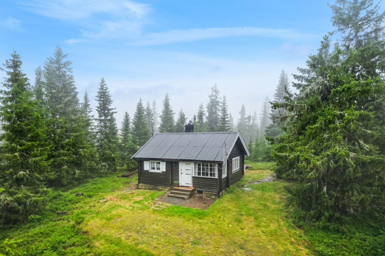 Mastefoto sett fra hytta. Galleribilde