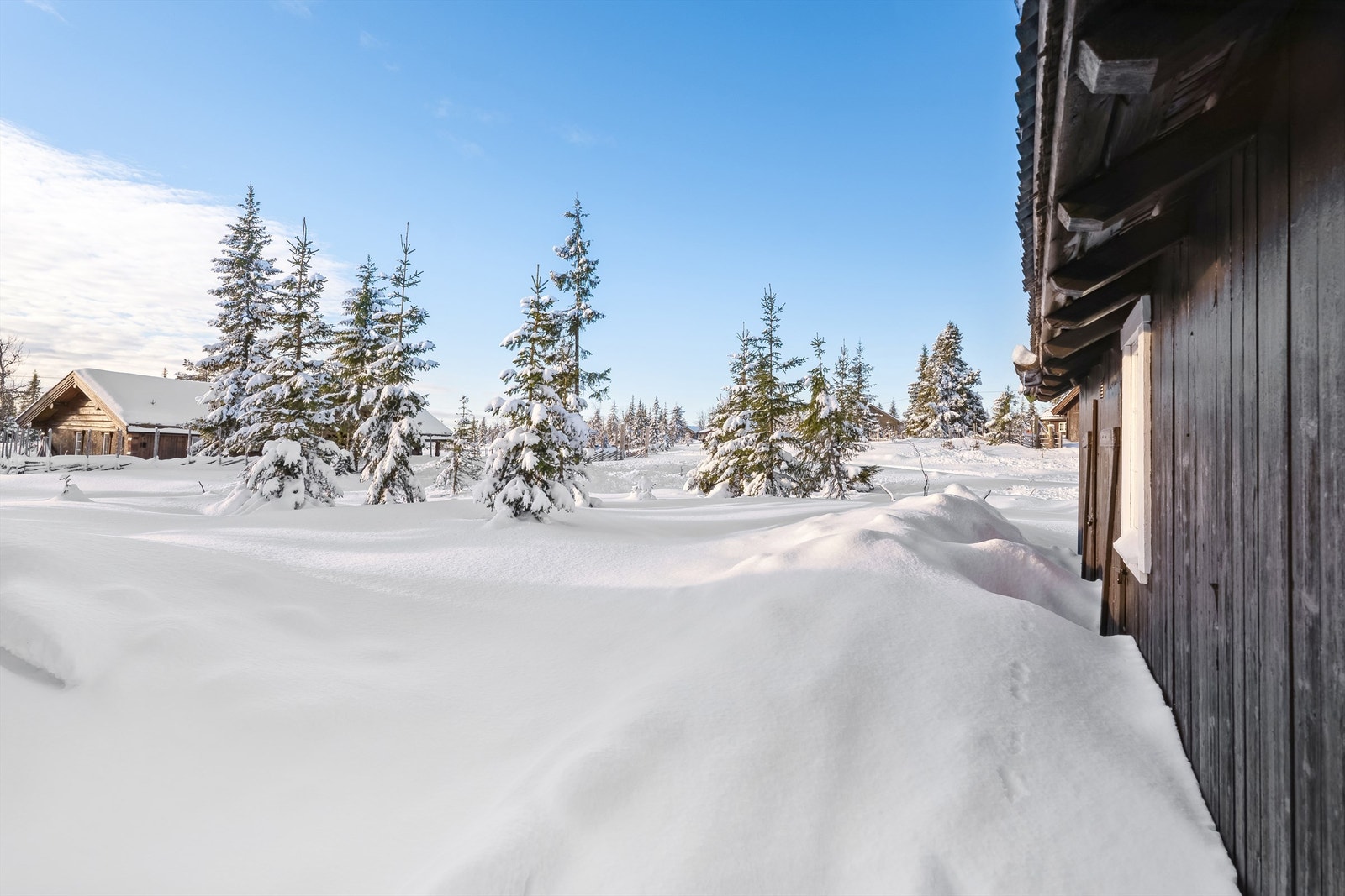 Hogst i området, har gitt hytta bedre utsyn og solforhold. Galleribilde
