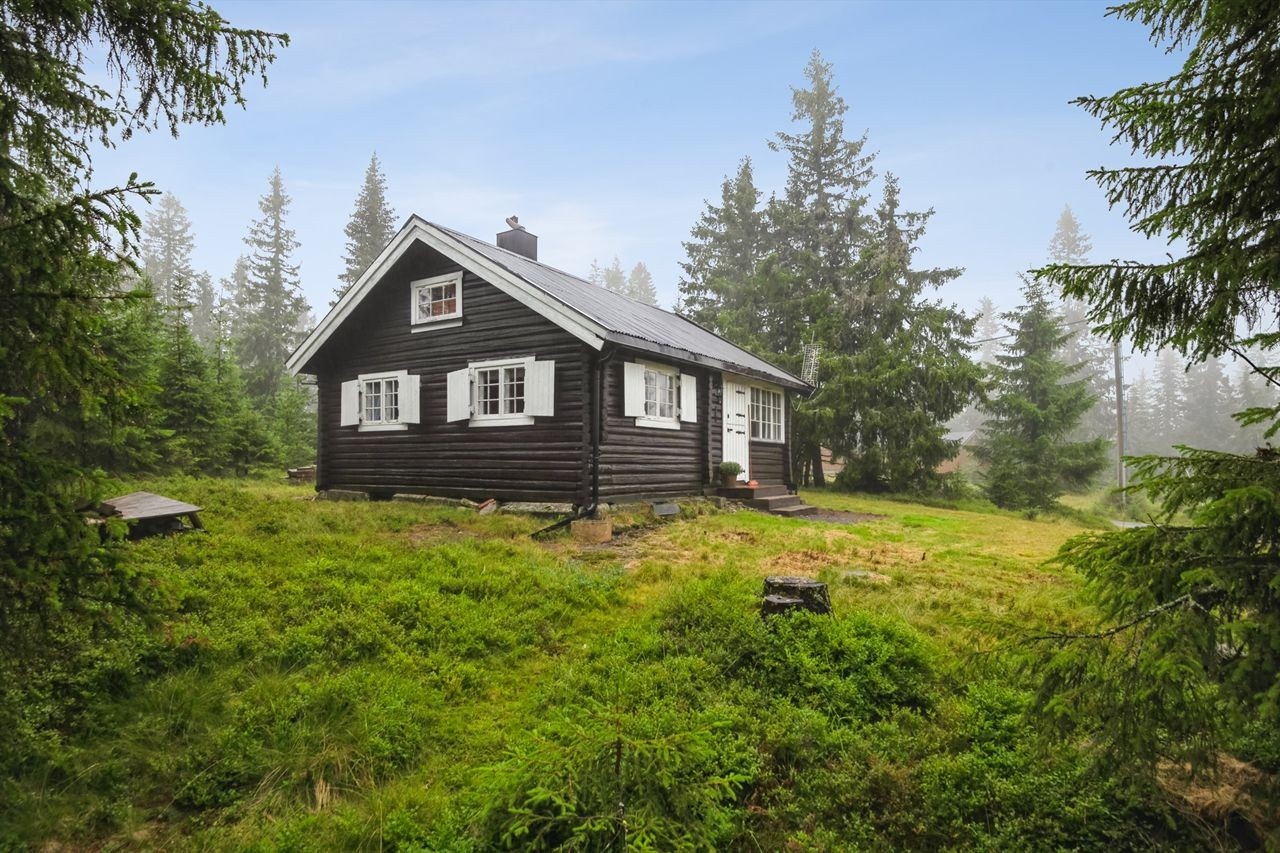 Eldre tømmerhytte beliggende Lauvlia Galleribilde