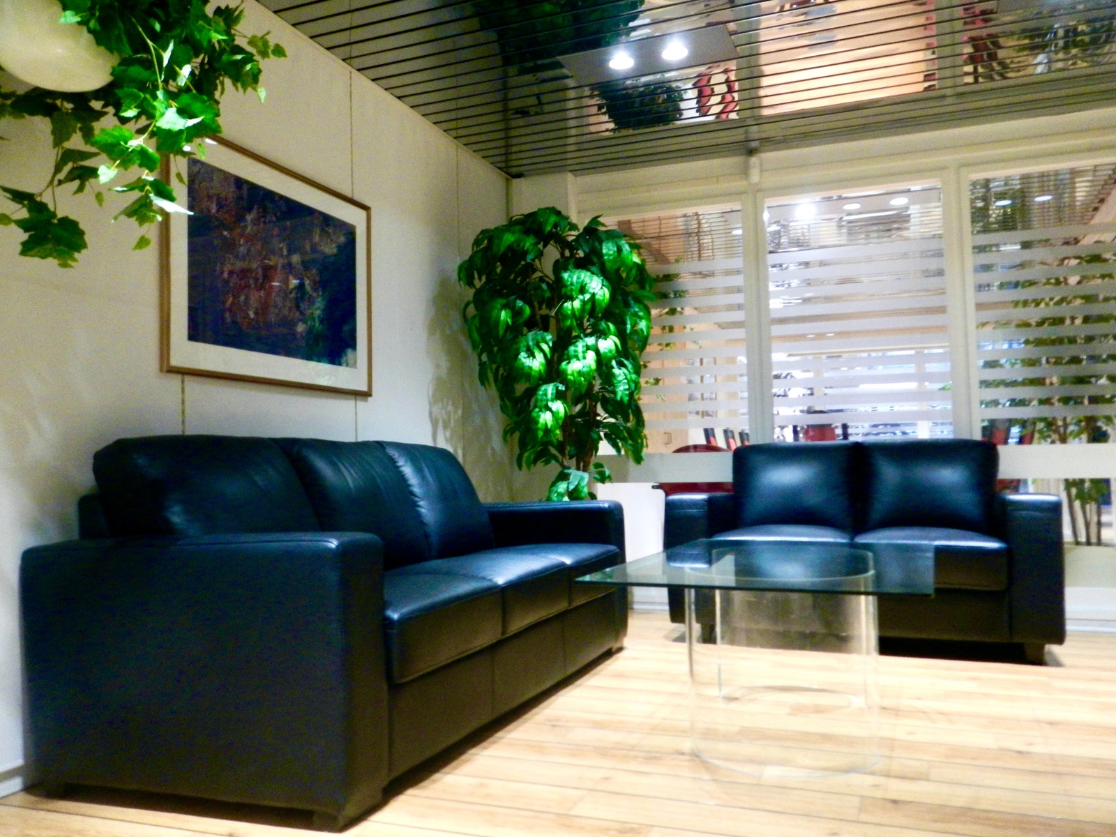 fellesareal Galleribilde