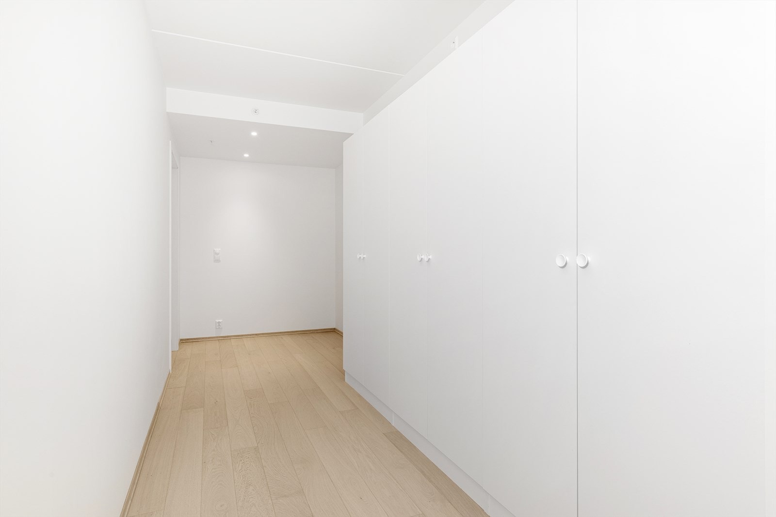 _62A3922 Galleribilde