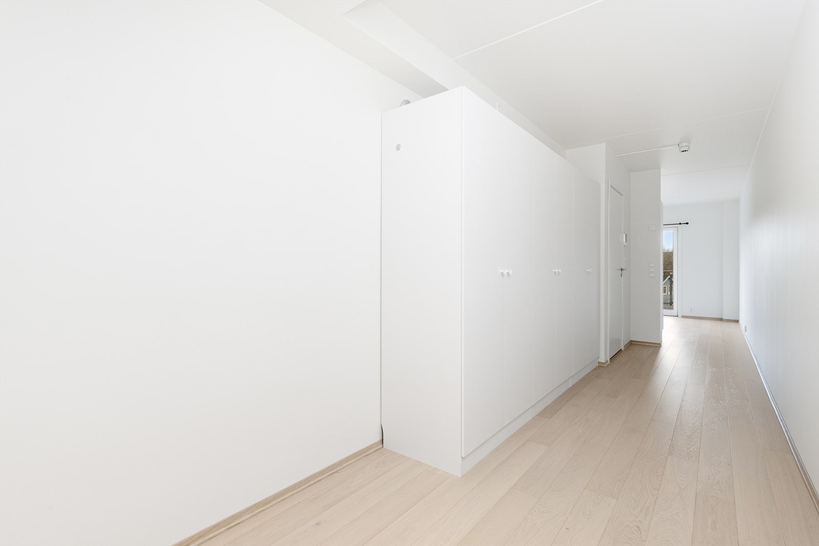 _62A3926 Galleribilde