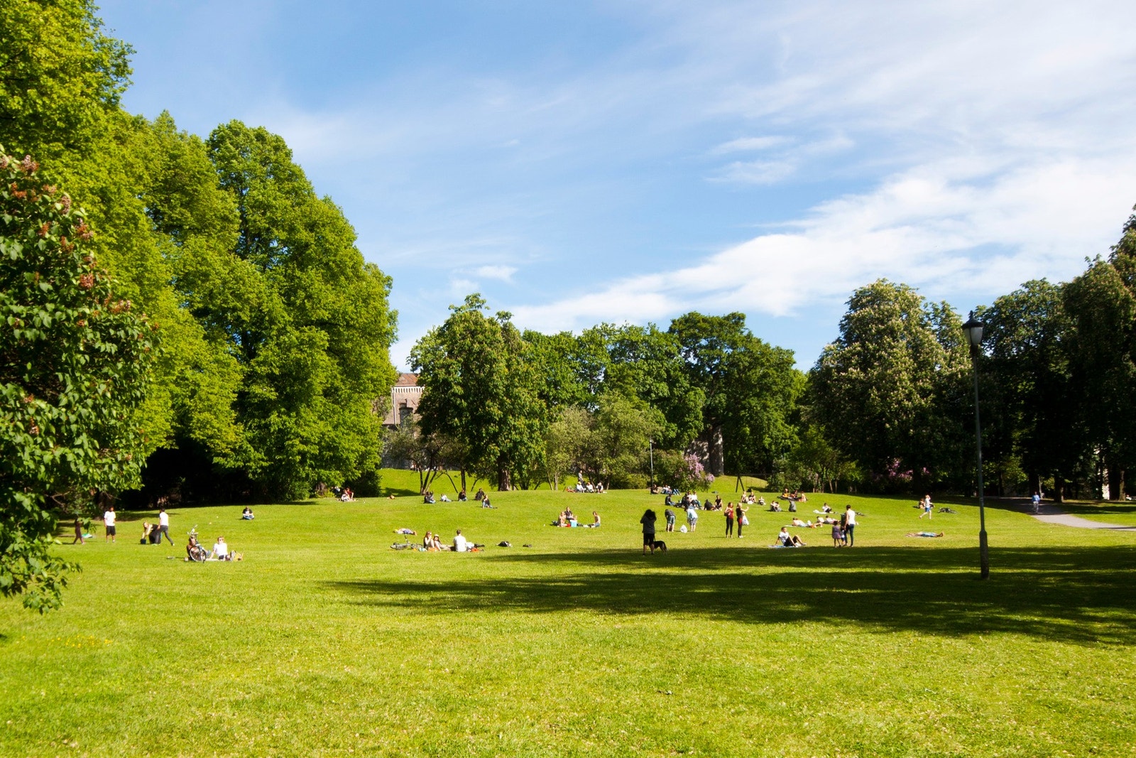 En av mange nærliggende parker i området Galleribilde