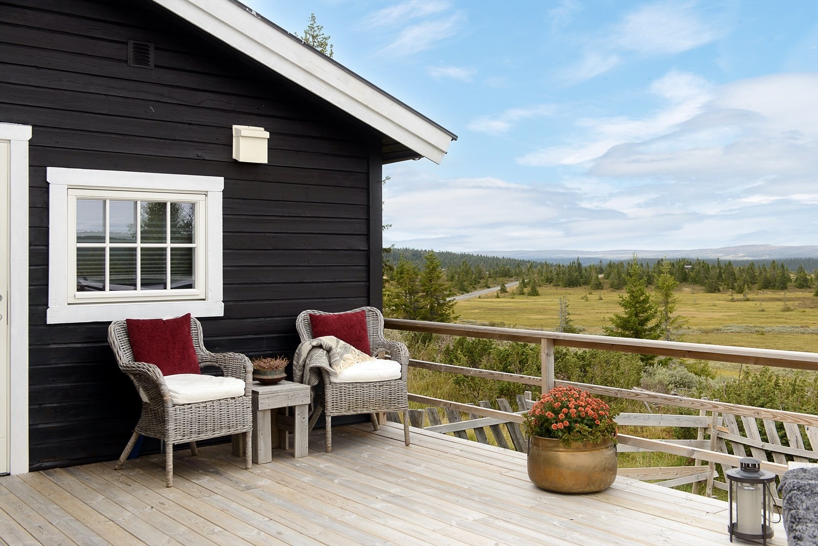 Området kan også by på godt multeterreng. Galleribilde