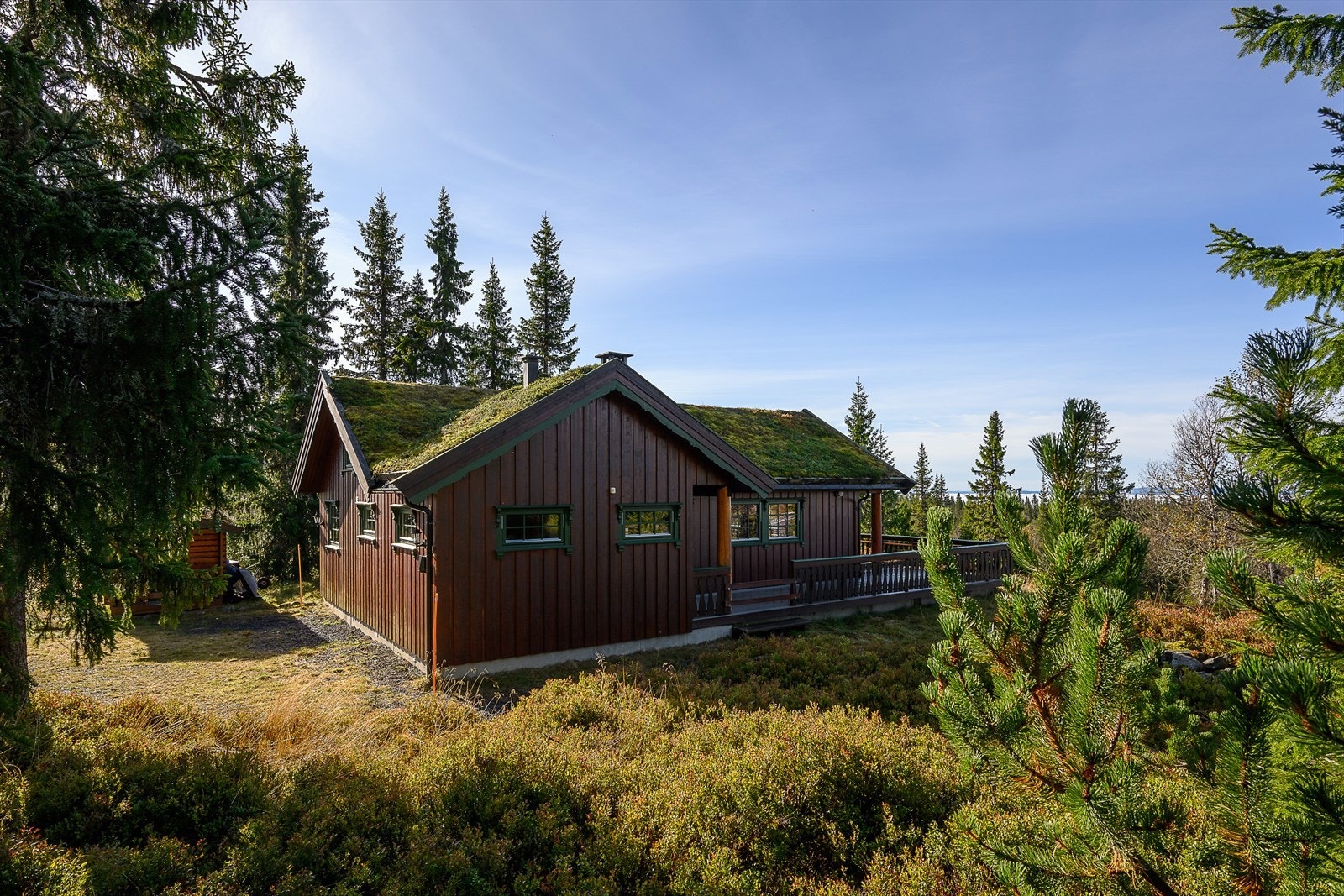 Lett skrånende terreng rundt hytta. Naturtomt. Galleribilde