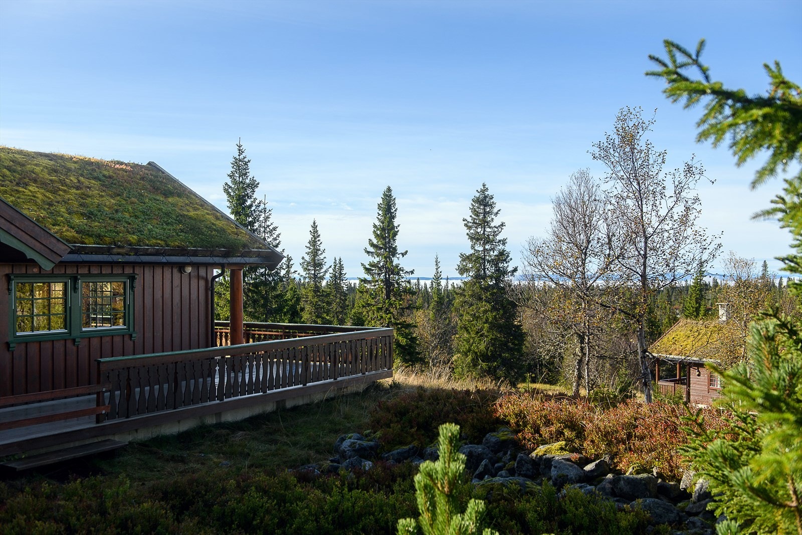 Familievennlige omgivelser. Hytta ligger langs en blindvei og det er begrenset med biltrafikk forbi hytta. Galleribilde