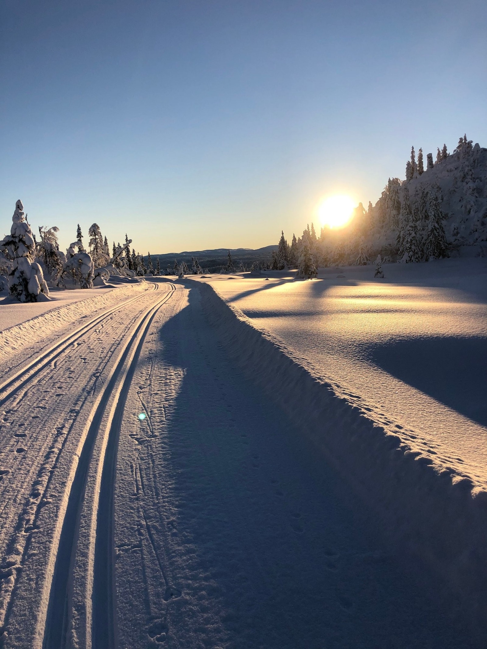 Kald januardag Galleribilde