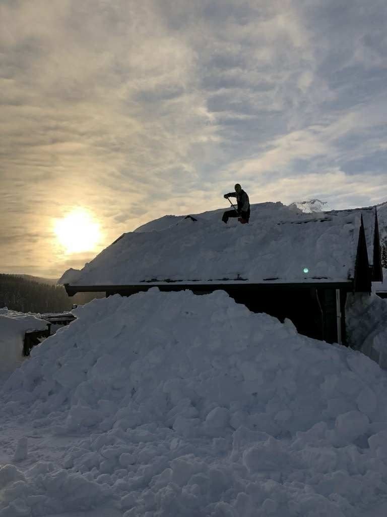 Mye snø, måke tak Galleribilde